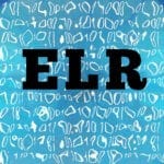 Electronic Literature