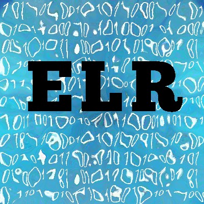 Electronic Literature